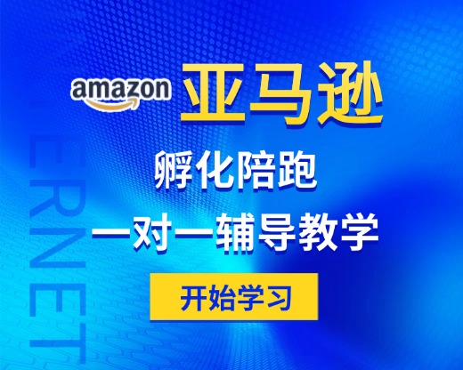 亚马逊孵化陪跑班